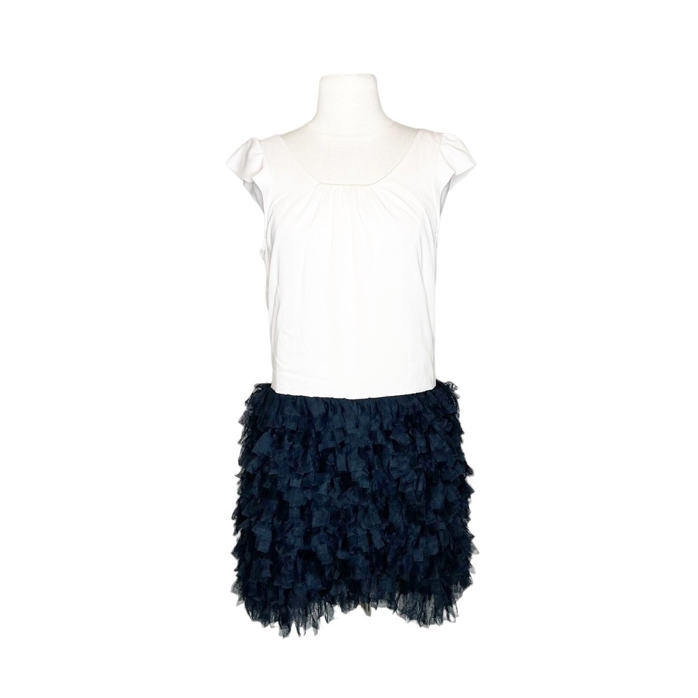 Gap Size 4 Spring 2011 Dress Sleeveless Chiffon Tulle Skirt Coquette Glam Y2K